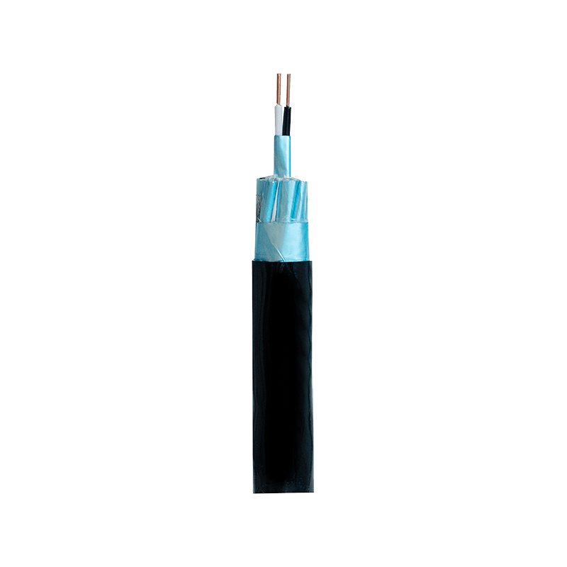 300/500 V Electronic Computer Polyethylene (PE) Insulated Cable
