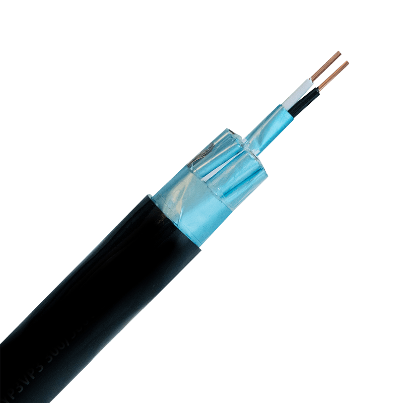 300/500 V Electronic Computer Polyethylene (PE) Insulated Cable