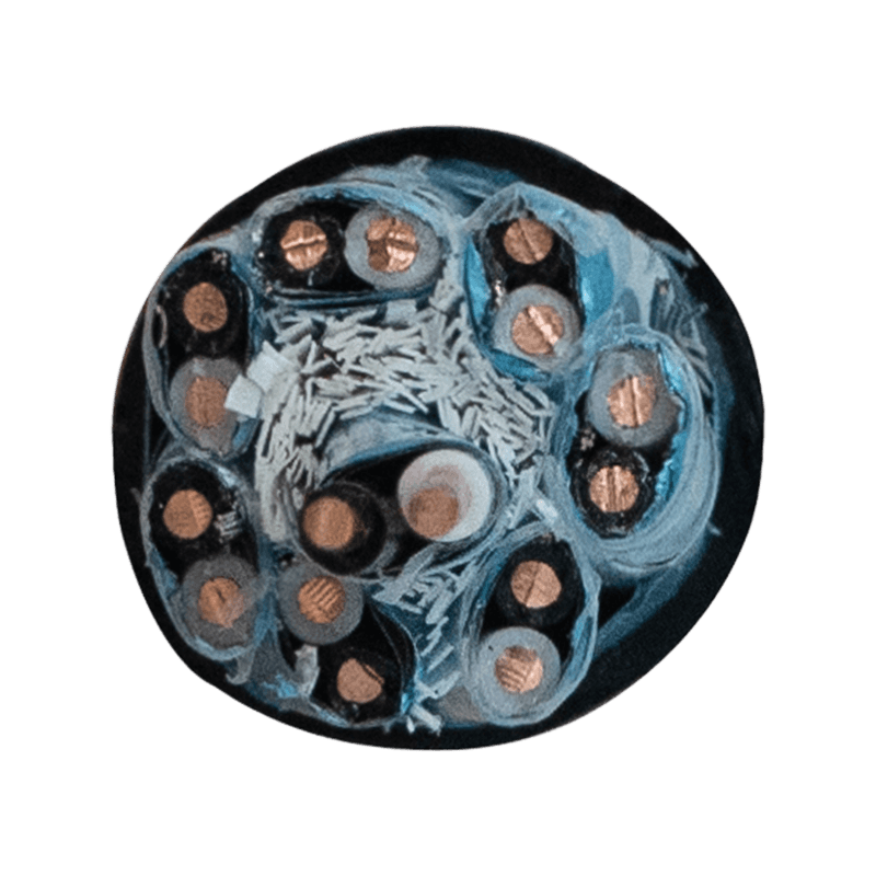 300/500 V Electronic Computer Polyethylene (PE) Insulated Cable