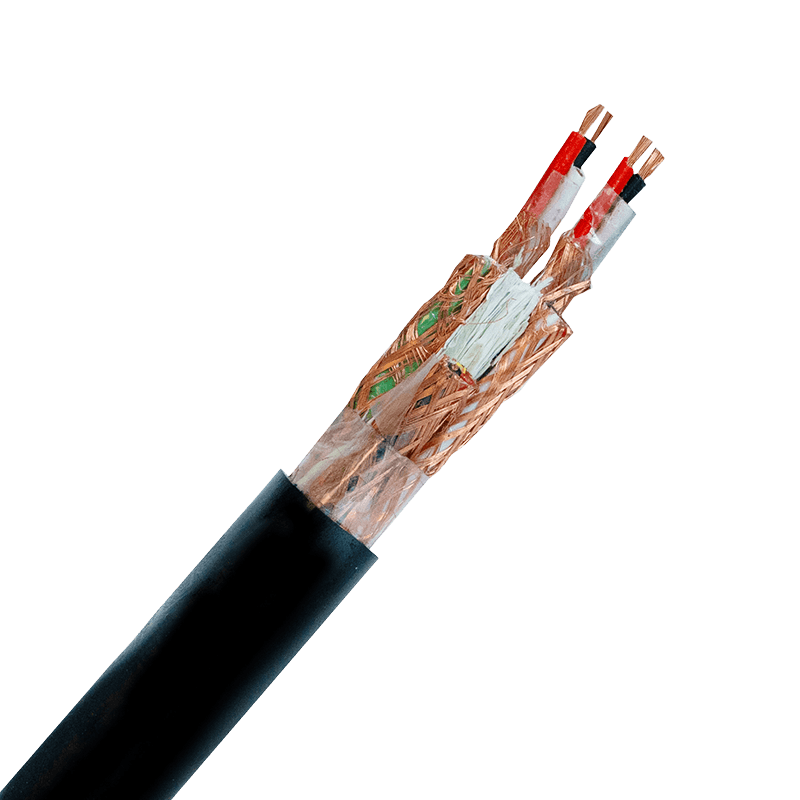 300/500 V Electronic Computer Polyethylene (PE) Insulated Cable