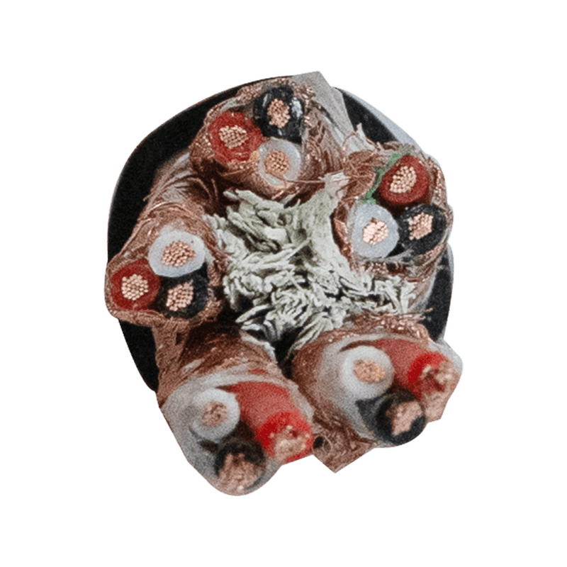 300/500 V Electronic Computer Polyethylene (PE) Insulated Cable