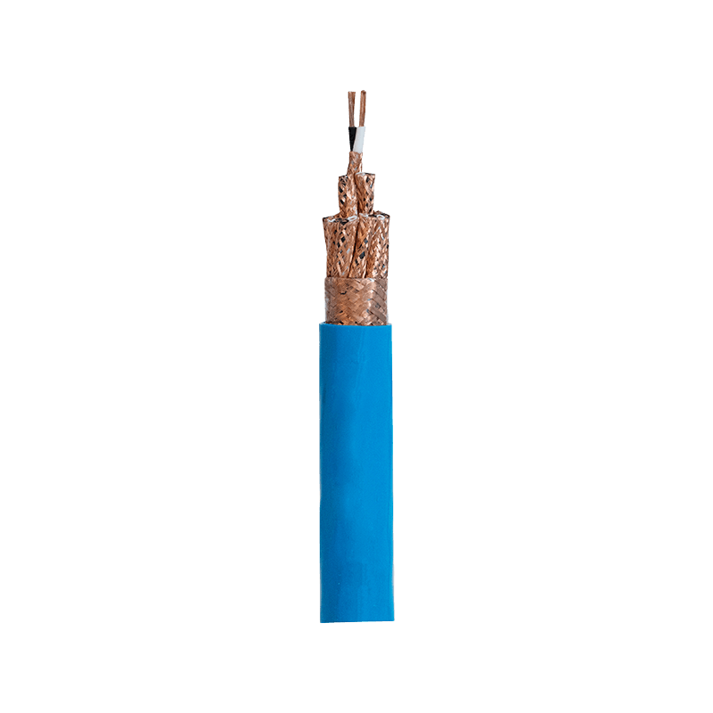 300/500 V Electronic Computer Polyethylene (PE) Insulated Cable